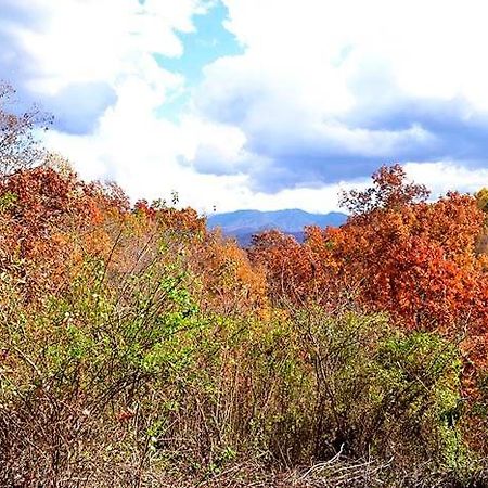 Burnin' Love Gatlinburg Esterno foto