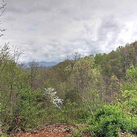 Burnin' Love Gatlinburg Esterno foto