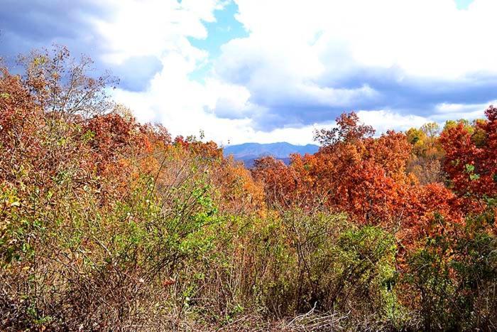 Burnin' Love Gatlinburg Esterno foto